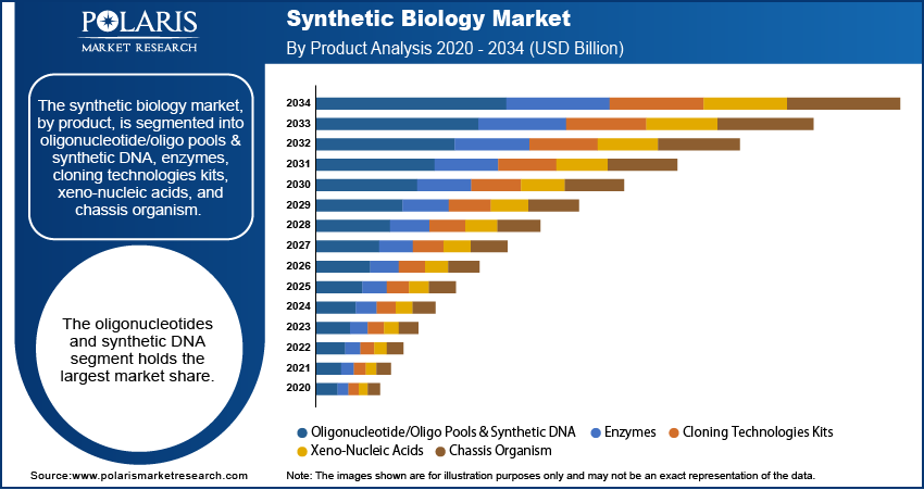 Synthetic Biology Market Size